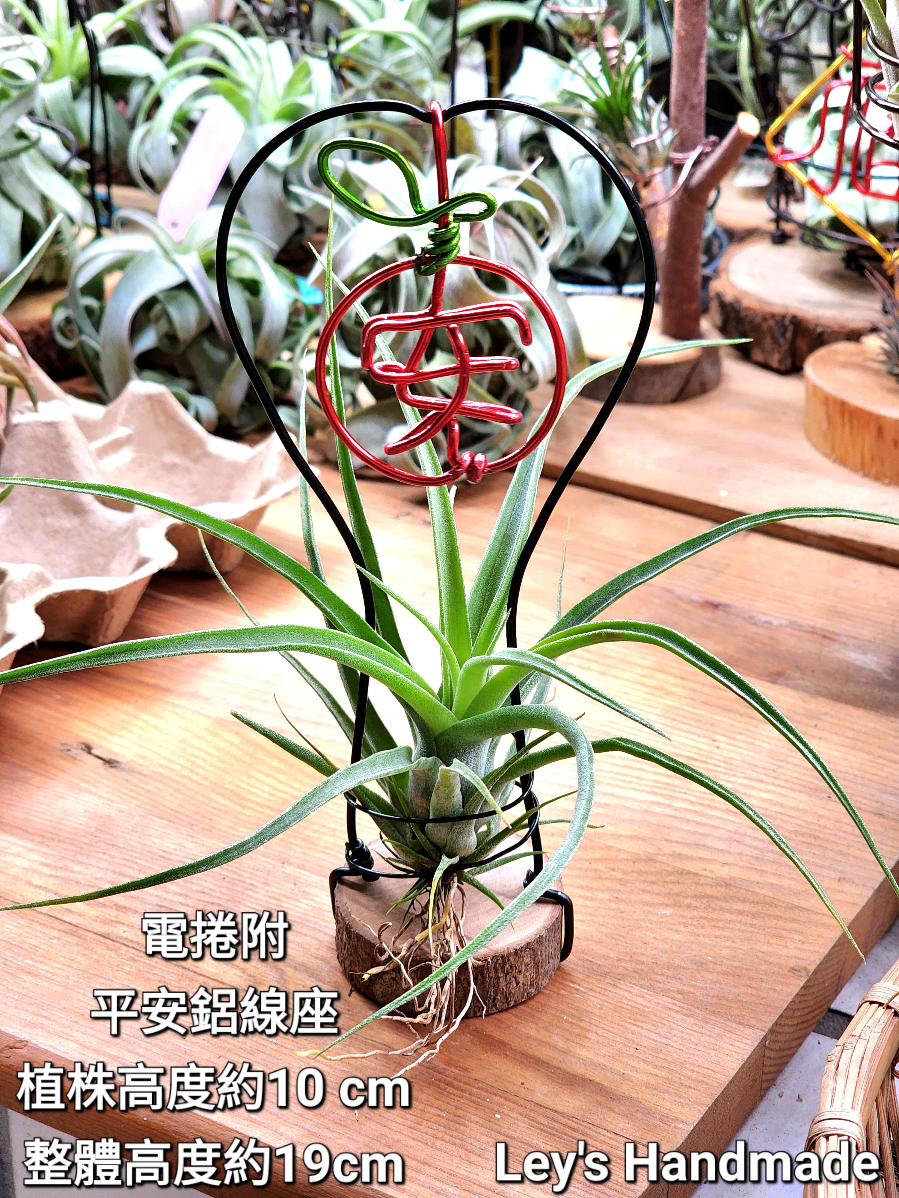 電捲附平安鋁線座