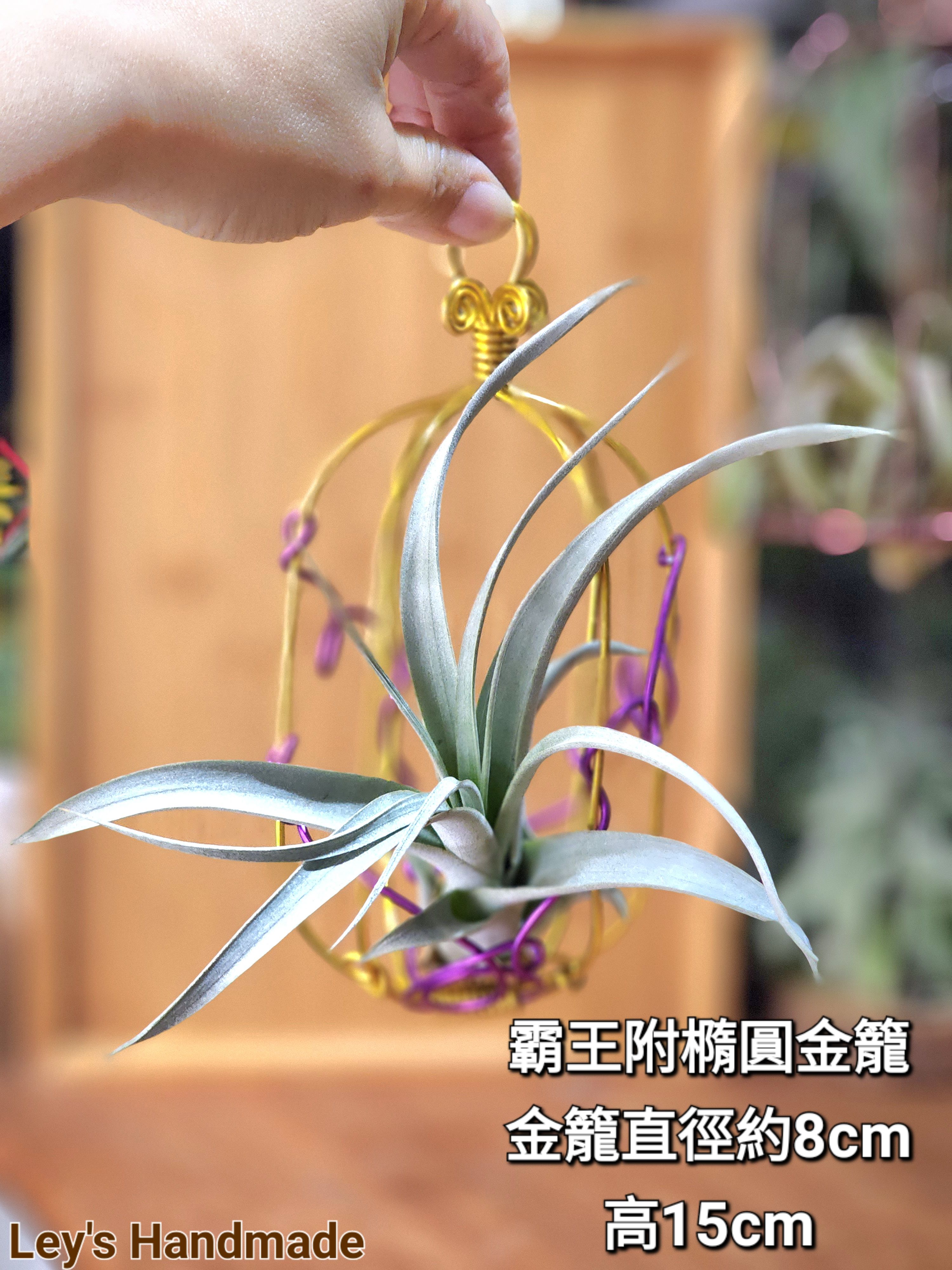 空鳳鋁線組
