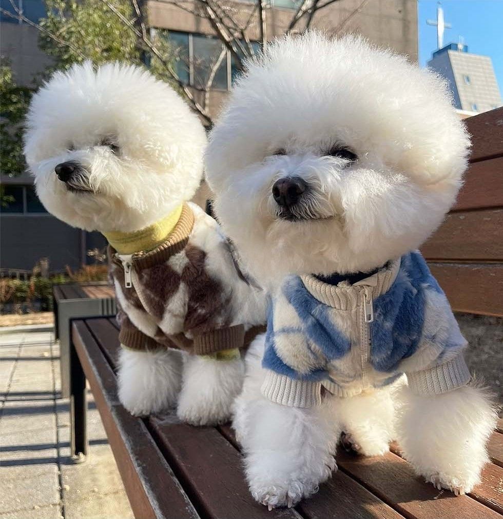 菱格外套 | SeoliCollection 韓國寵物用品選物