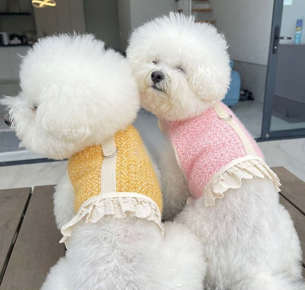 毛呢上衣 | SeoliCollection 韓國寵物用品選物