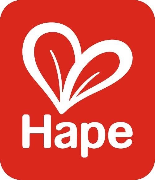 德國 Hape