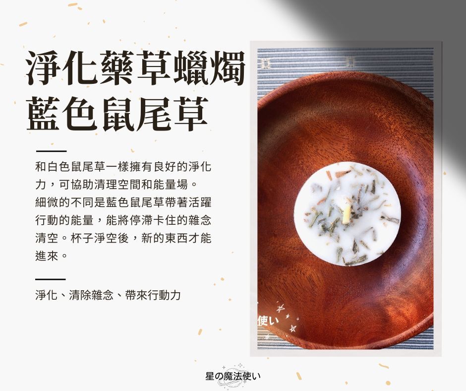 藍色鼠尾草/聖木小茶燭（一包四入）