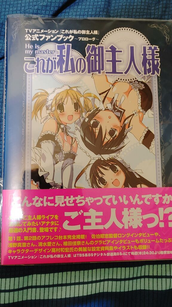 日文設定集 ＜我的主人愛作怪 FANS BOOK＞