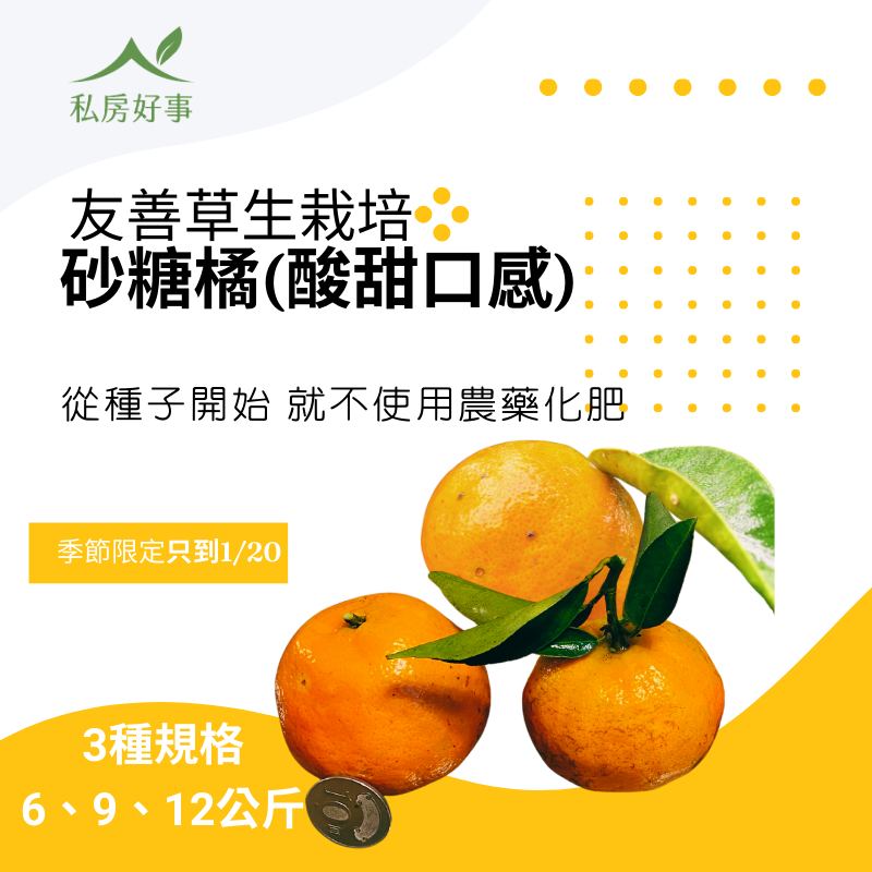 友善耕作認證—砂糖橘（從種子開始就不使用農藥及化學肥料）