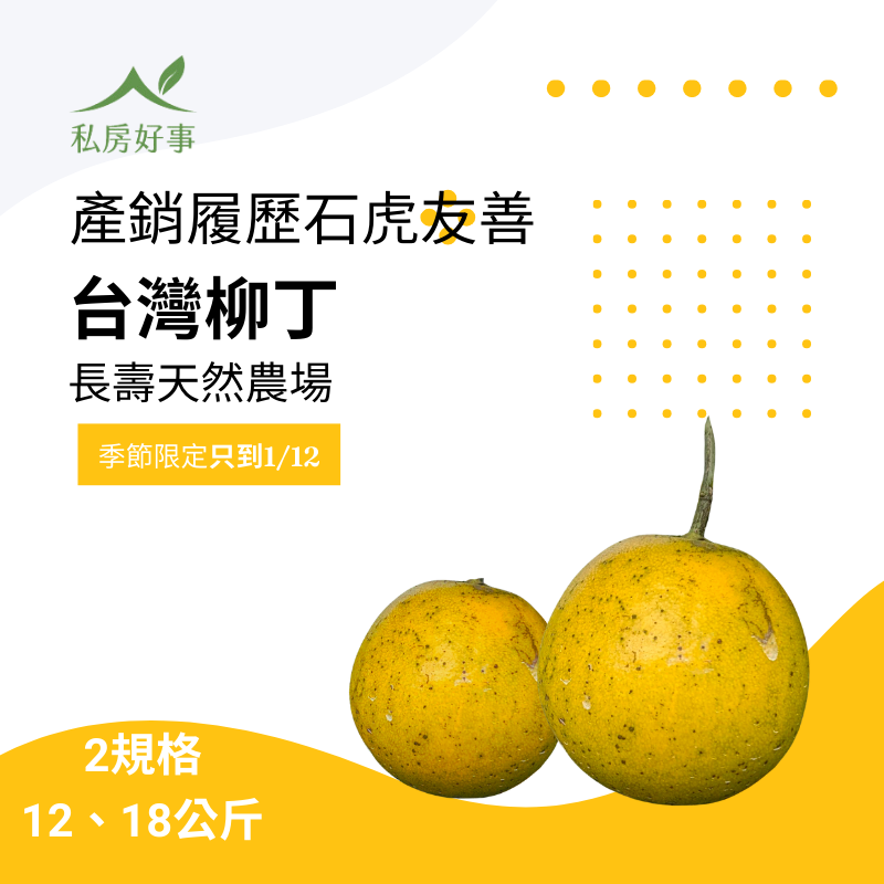 台灣柳丁 產銷履歷 友善農法種植