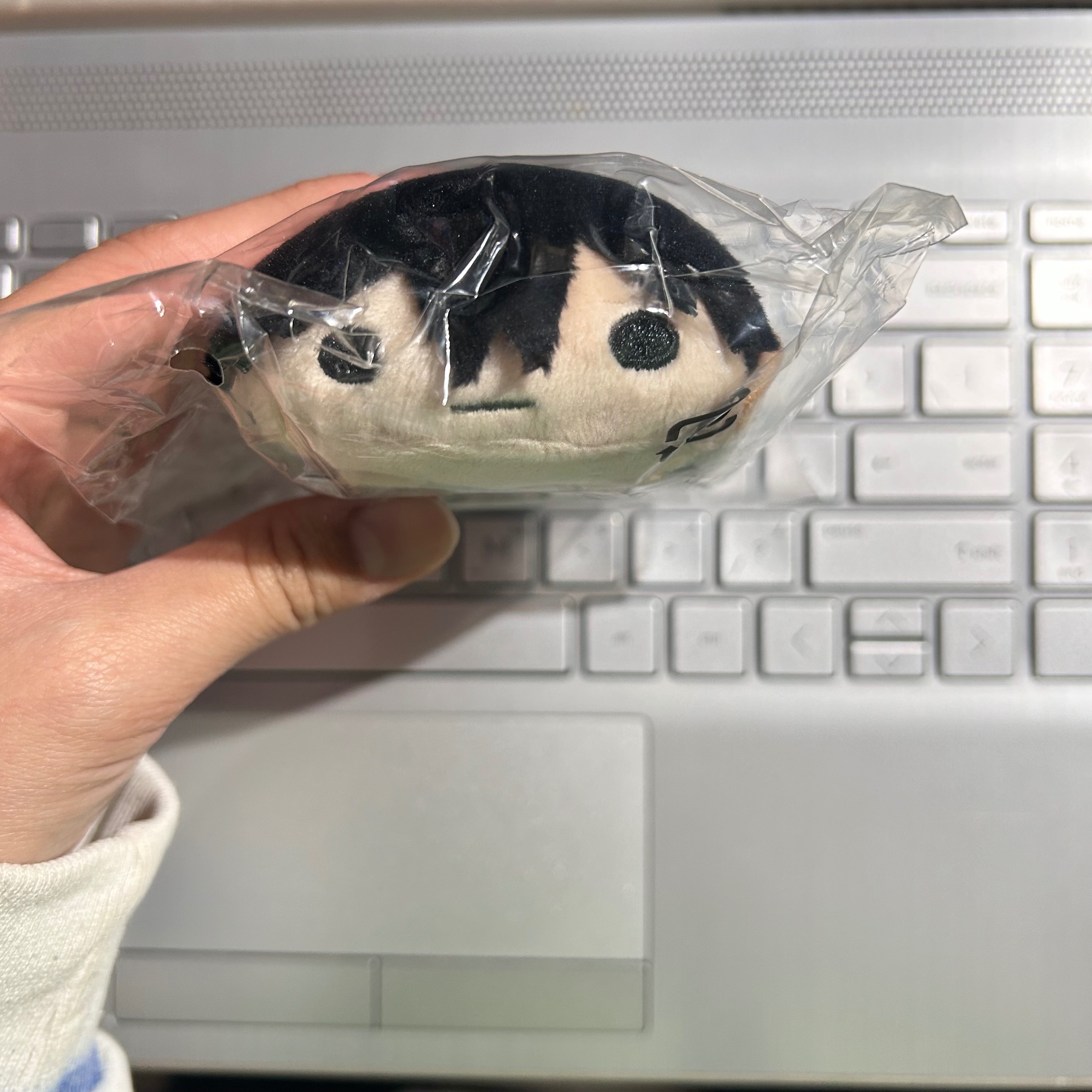 早川秋 js趴娃
