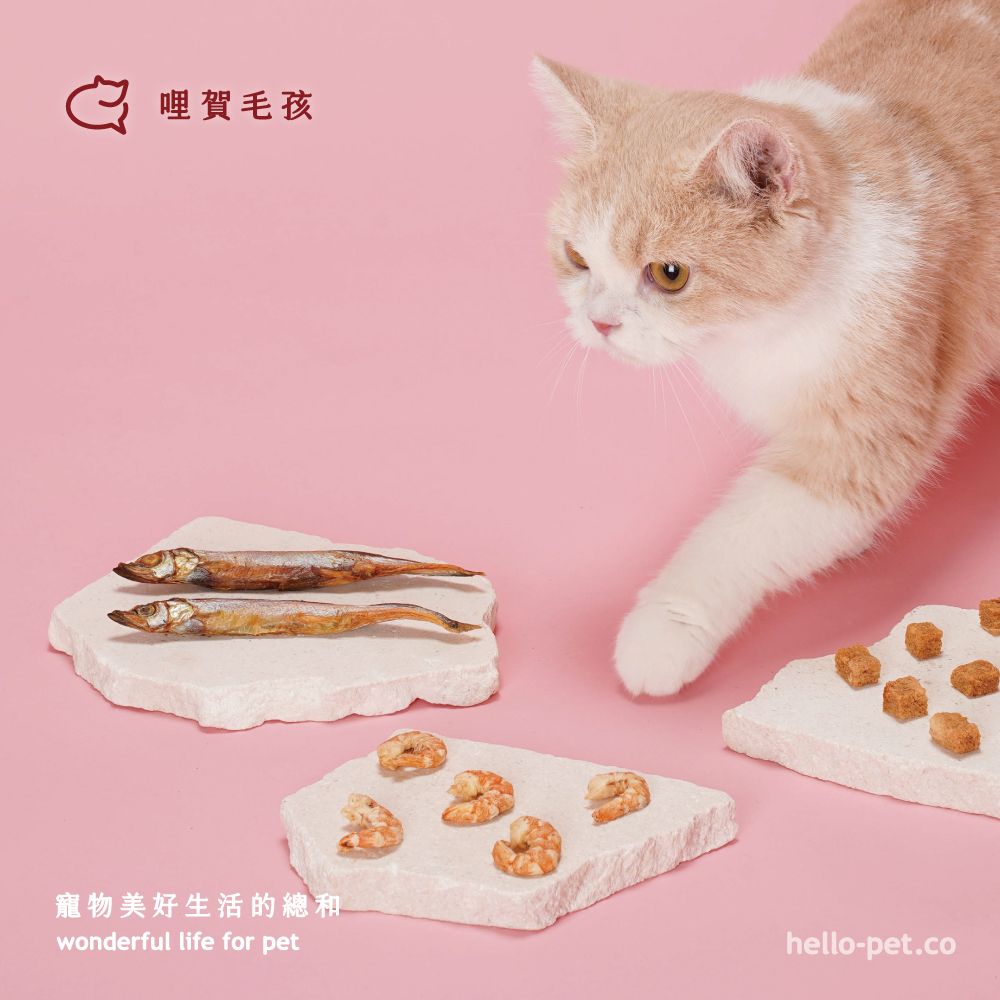 【hello pet 哩賀毛孩】犬貓原味凍乾