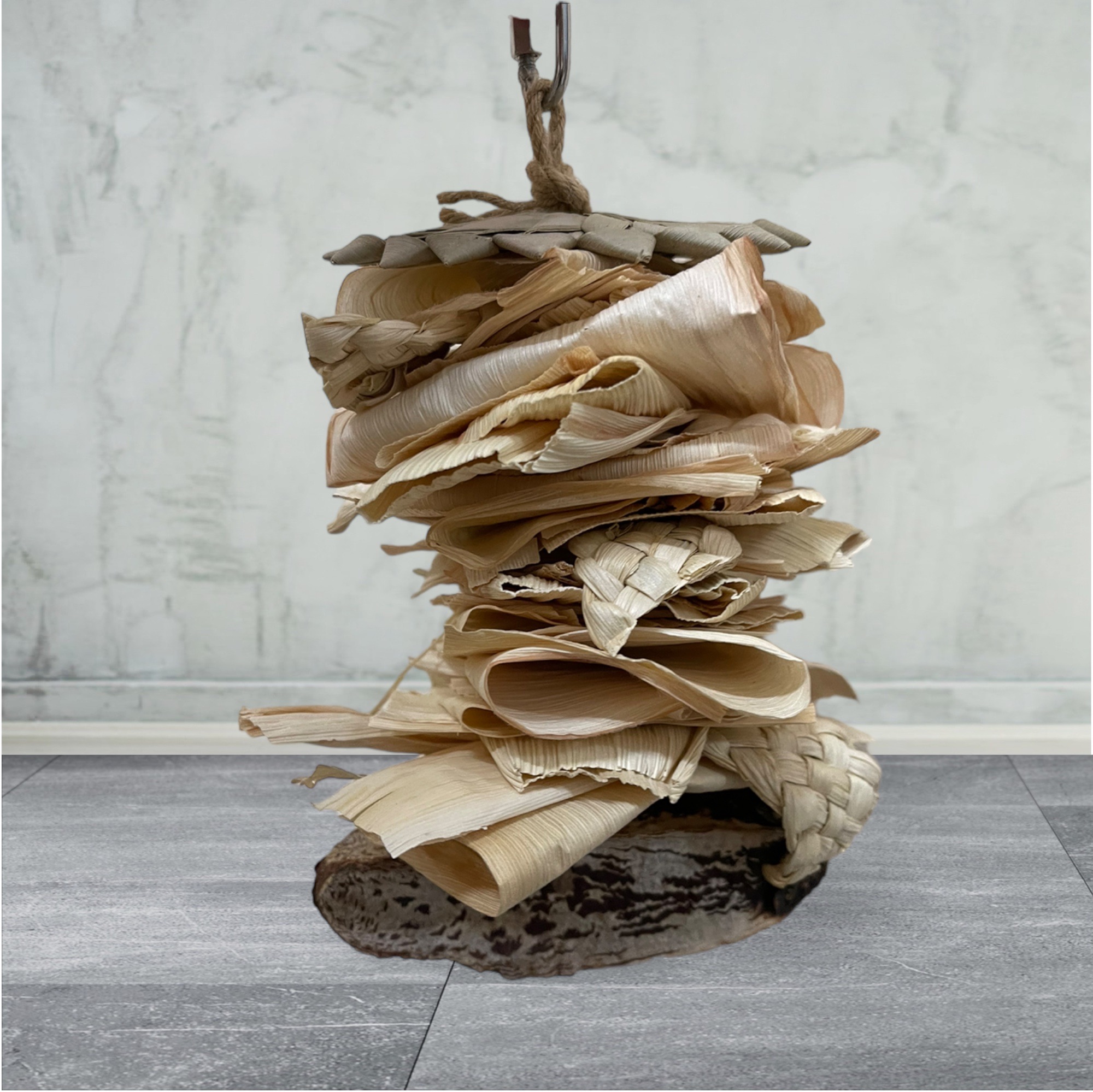 綜合玉米葉咬爽爽