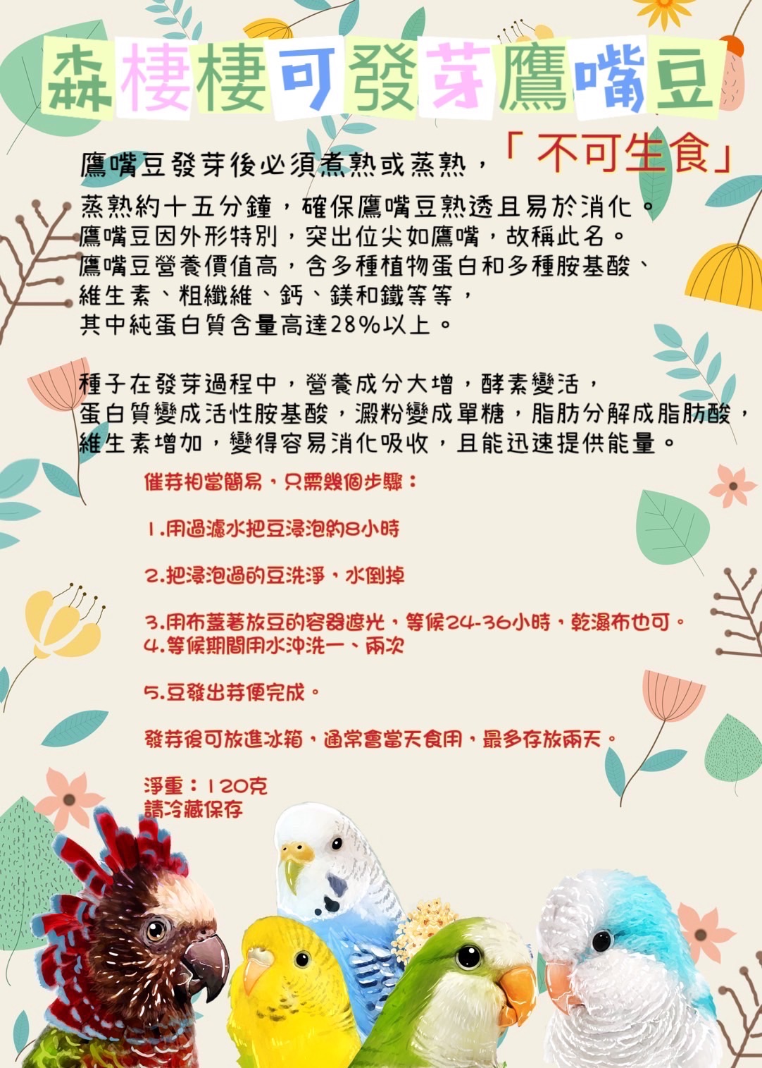 森棲棲發芽鷹嘴豆