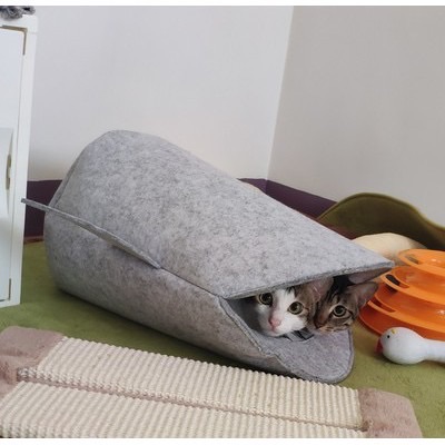 好運嚴選｜ 🦈鯊魚造型收納筐