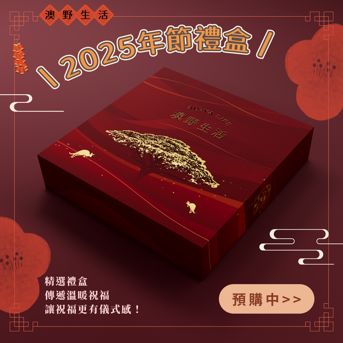 2025 年節禮盒 過年禮盒 預購中 ！