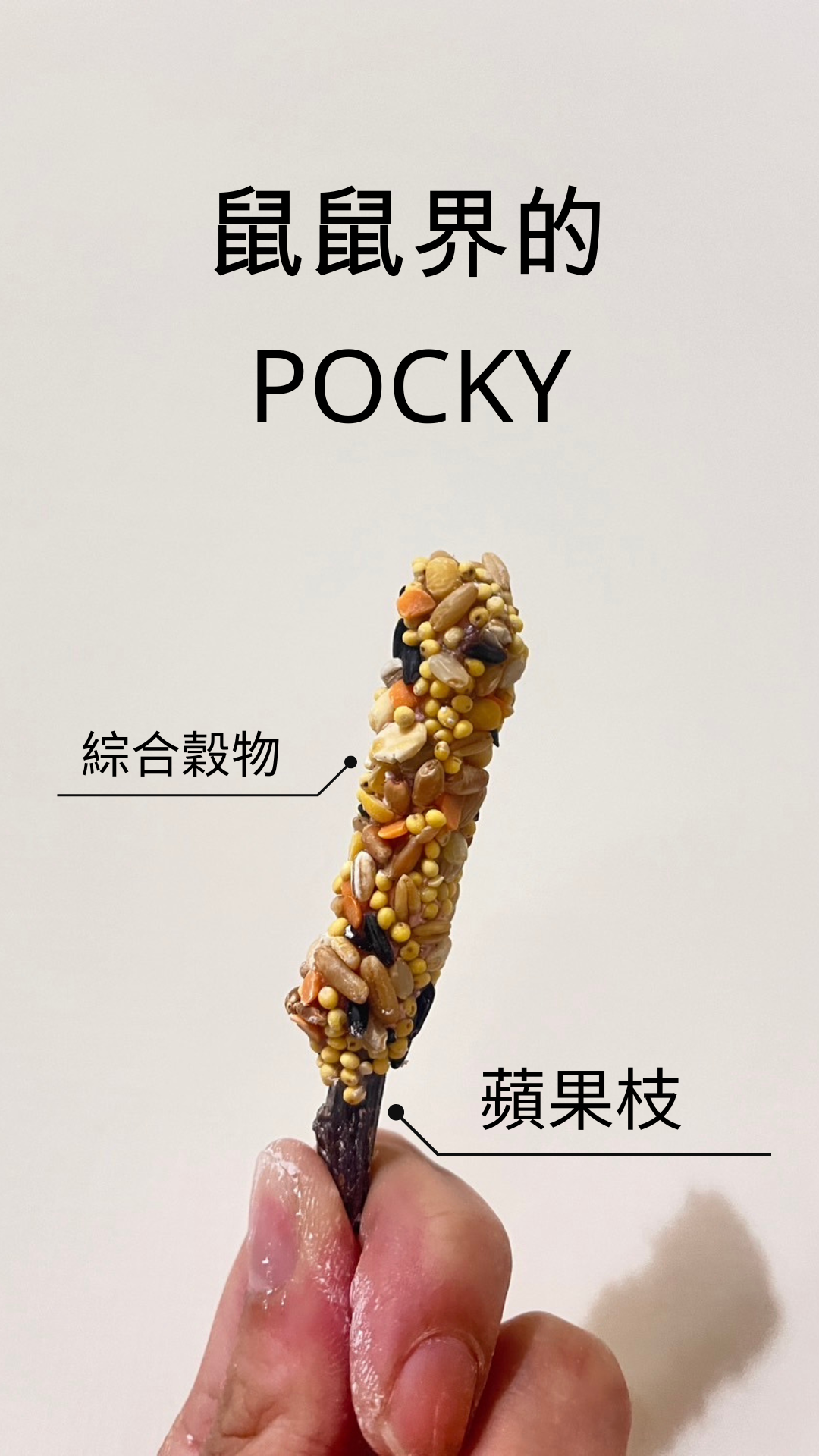 pocky磨牙棒