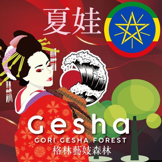 衣索比亞 原始森林藝妓（ 格林森林藝妓）日曬藝伎傳說Gori Gehsa Forest