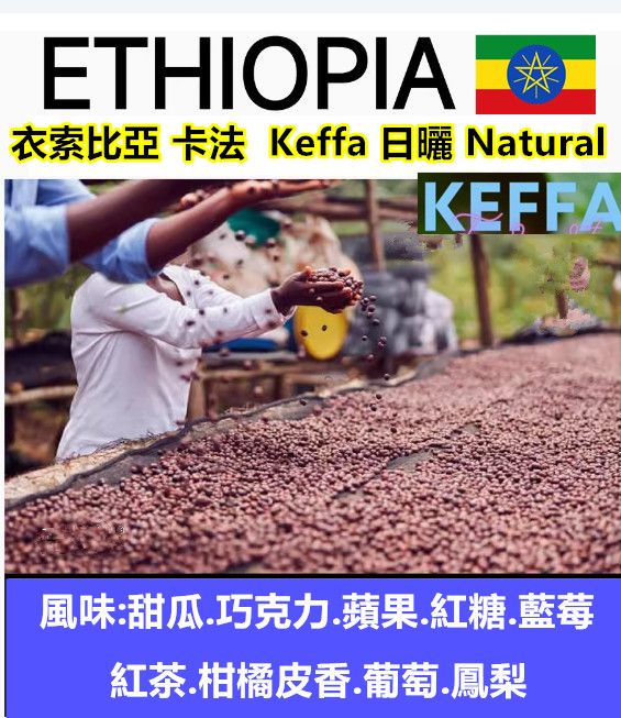 2024衣索比亞 卡法 Keffa 日曬 Natural