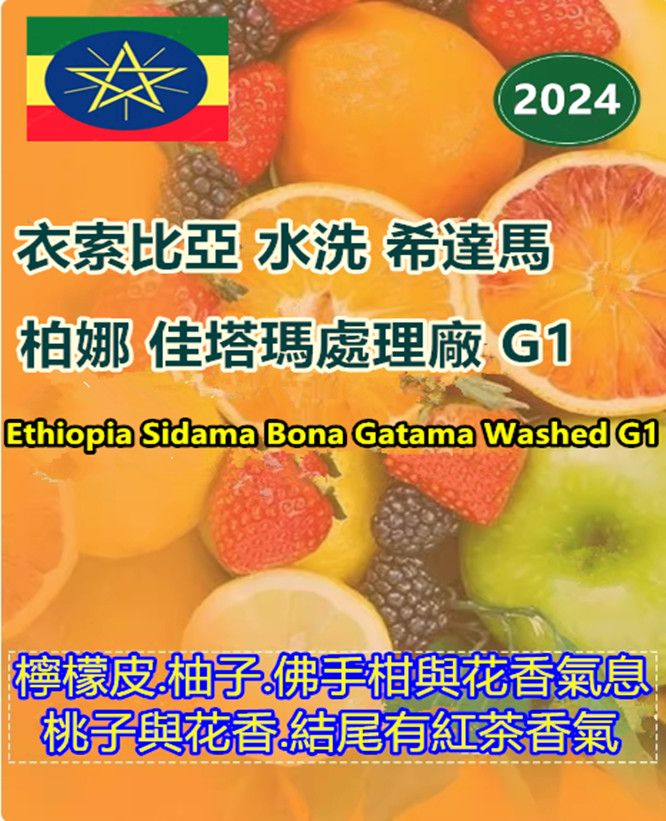 衣索比亞 水洗 希達馬 柏娜 佳塔瑪處理廠 G1