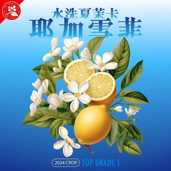 2024批次 衣索比亞 耶加雪菲 夏茉卡 G1 74110 水洗