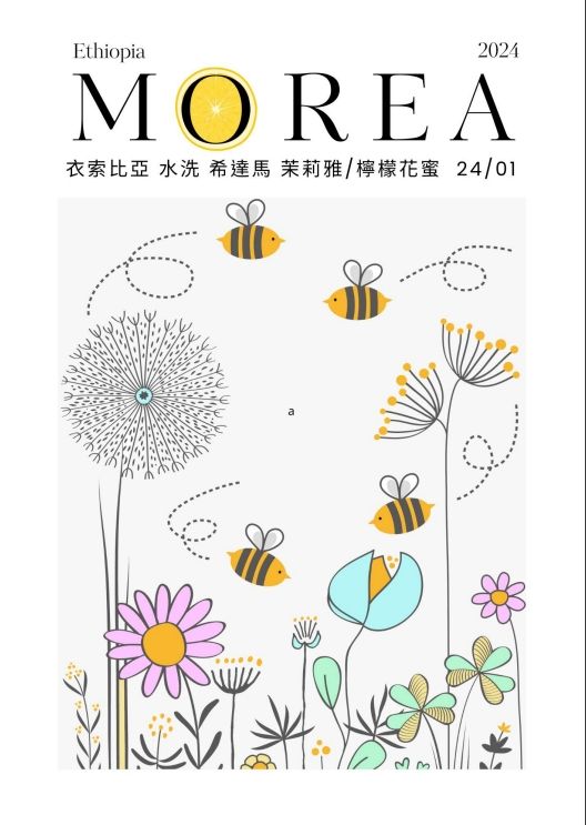 衣索比亞 水洗 希達摩 檸檬花蜜/茉莉雅 G1 24/02 批次