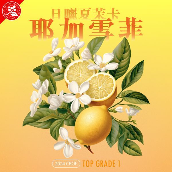 衣索比亞  耶加雪菲 日曬夏茉卡  紅圈計畫  TOP G1 - 74110