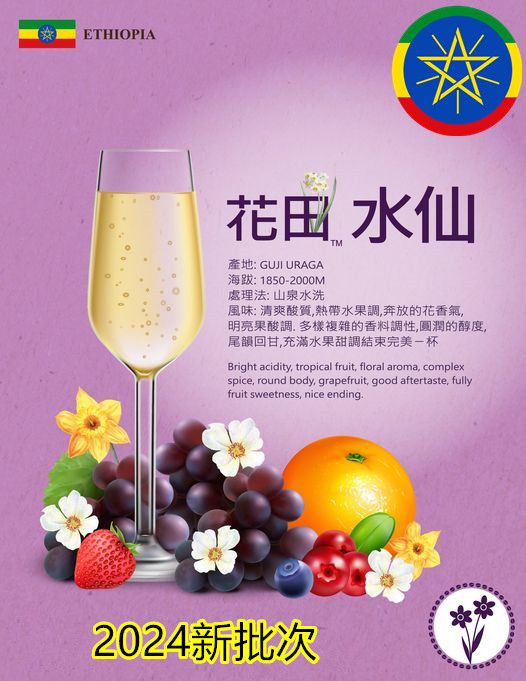 2024正宗 衣索比亞 超強水洗  花田水仙