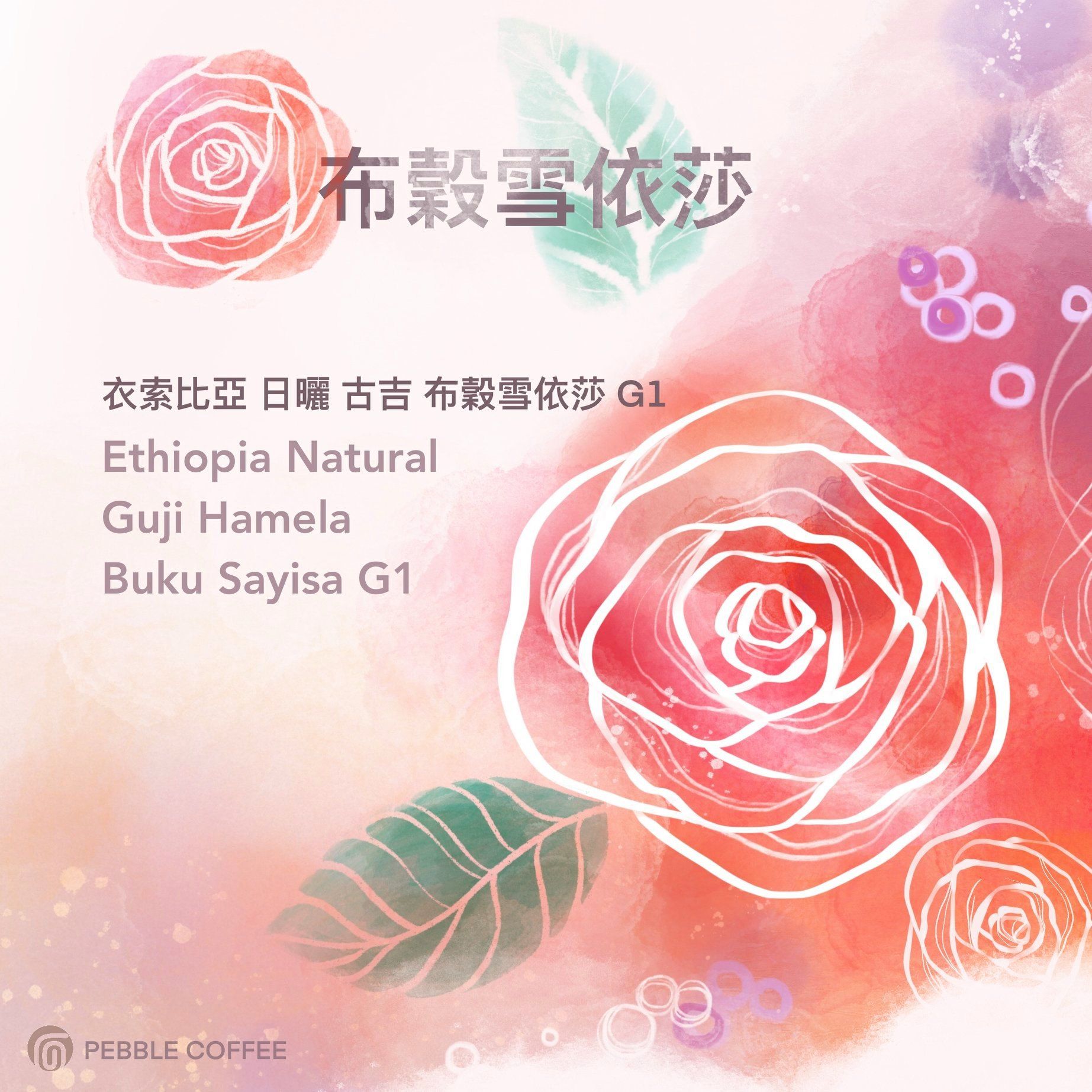 衣索比亞 日曬 古吉 布穀雪依莎 G1/2024 NEW