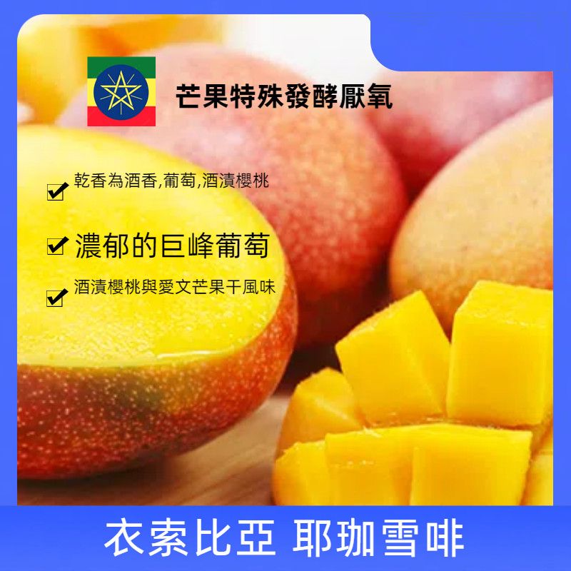2024衣索比亞 耶珈雪啡 芒果特殊發酵 厭氧日曬處理 G1