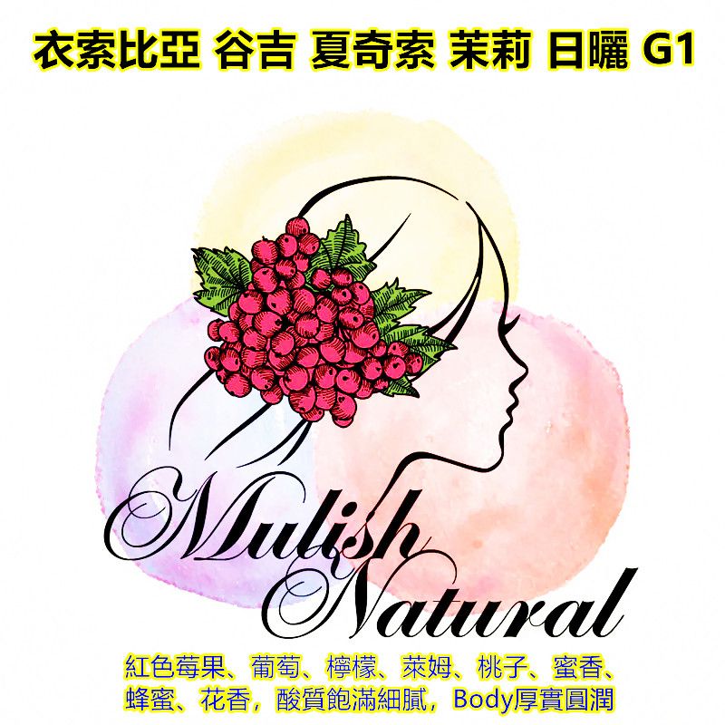 衣索比亞 谷吉 夏奇索 茉莉 日曬 G1