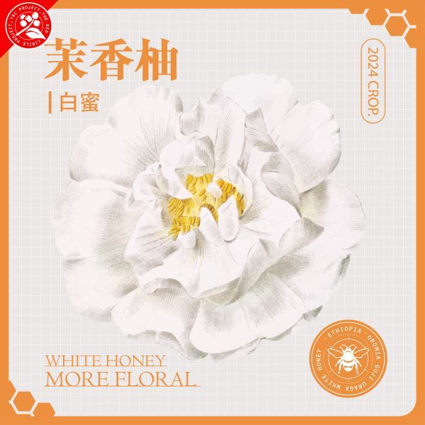 2024 白蜜茉香柚 / 紅圈計畫 / 2024新批次 / 烏拉嘎 TOP G1 / 可如蜜