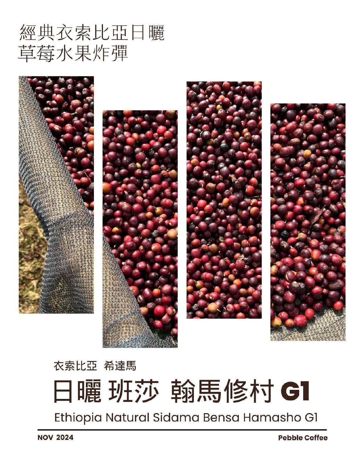 衣索比亞 西達摩 班莎鎮 翰馬修村 G1 日曬