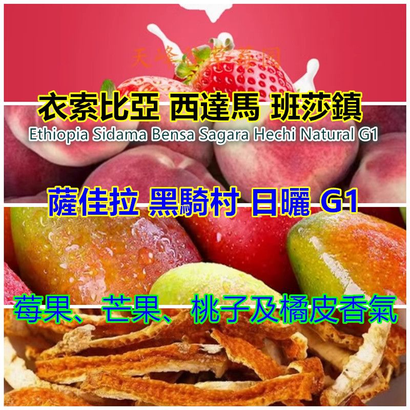 衣索比亞 西達馬 班莎鎮 薩佳拉 黑騎村 日曬 G1