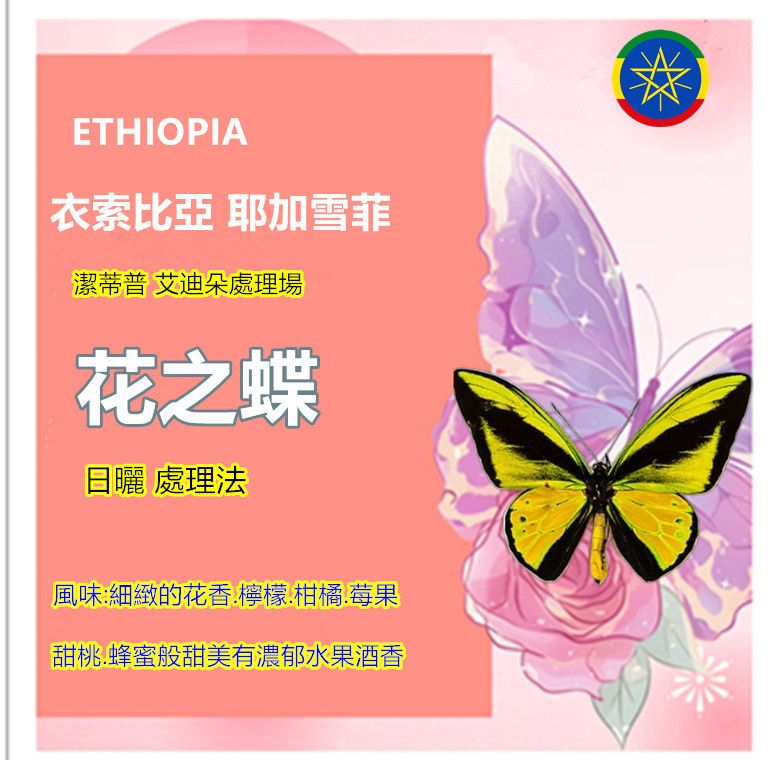 衣索比亞 耶加雪菲 潔蒂普 艾迪朵 花之蝶日曬 G1 IDIDO 處理場