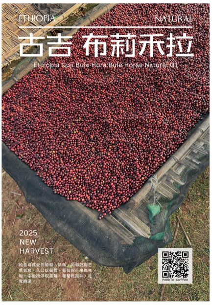 2025衣索比亞 日曬 古吉 布莉禾拉G1