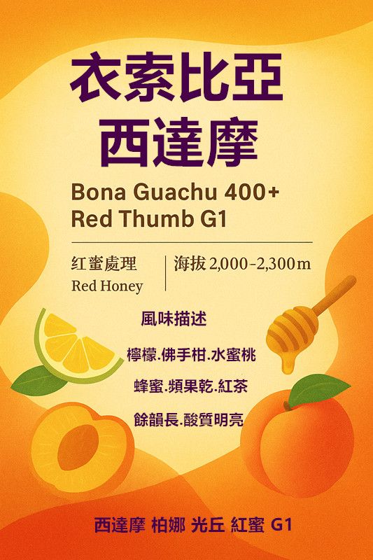 衣索比亞 西達摩 柏娜 光丘 400+紅拇指 G1紅蜜  CQi杯測師大力推薦