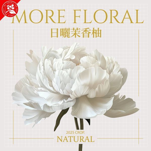 2025 日曬茉香柚 / 紅圈計畫 / 烏拉嘎 TOP G1 / 可如蜜