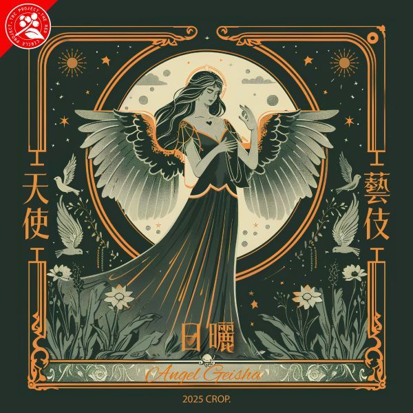 衣索比亞 耶加雪菲 天使處理站 /日曬天使藝伎 / 果丁丁/TOP G1