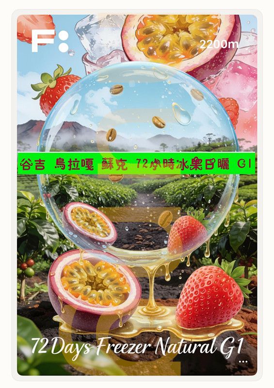 衣索比亞 谷吉 烏拉嘎鎮 蘇克 72小時冰果日曬 G1