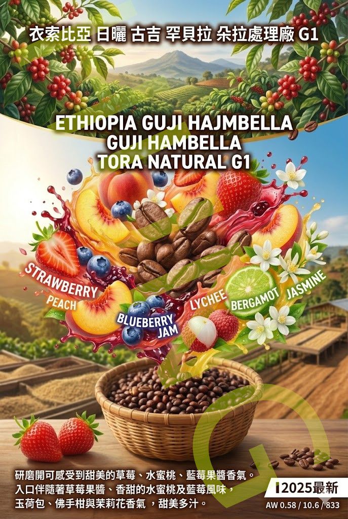 衣索比亞 日曬 古吉 罕貝拉 朵拉處理廠 G1