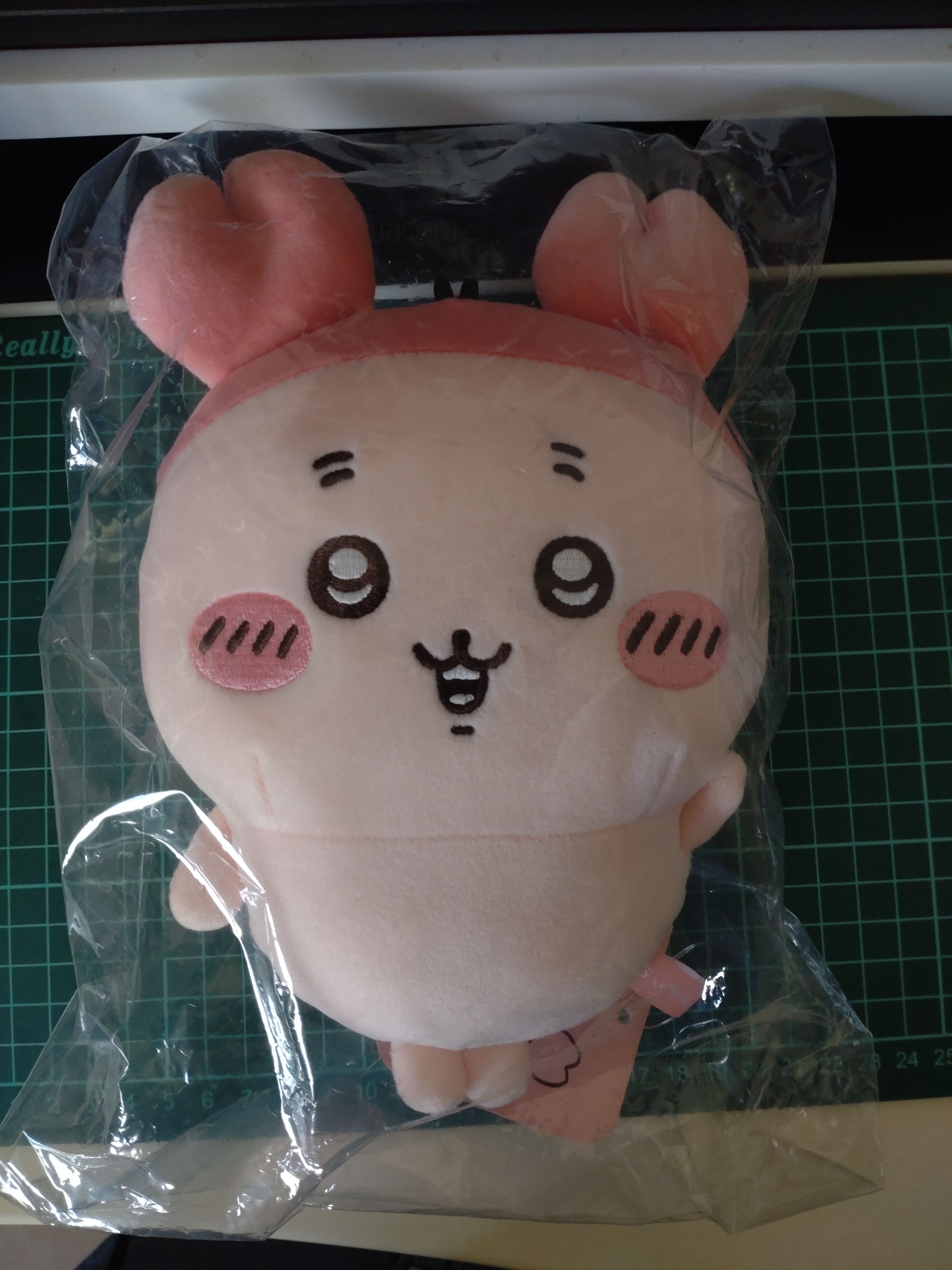 基礎娃S（小桃＆古本）