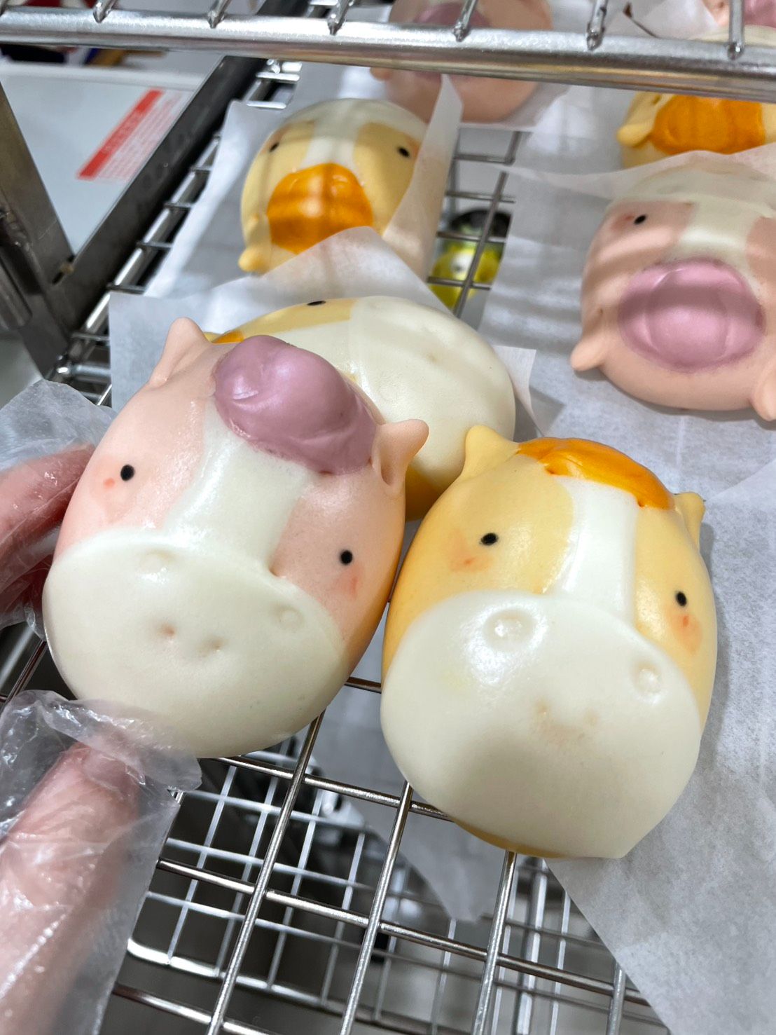 「 雙色馬寶」鮮奶造型饅頭 （一組六入）