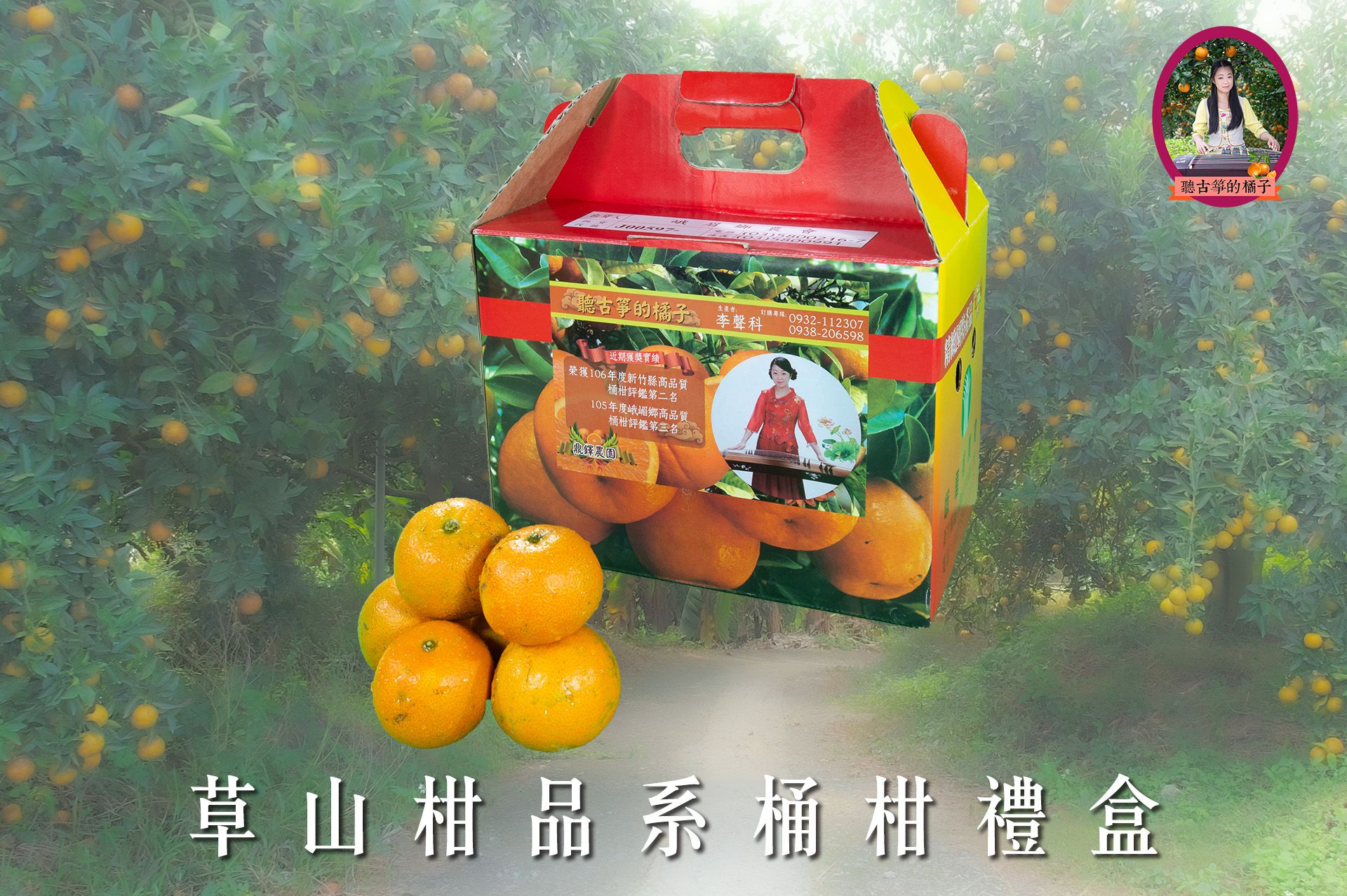 草山柑品系桶柑禮盒