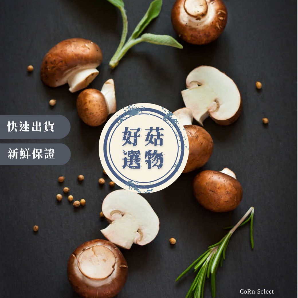 🔥各種香菇裡面挑選