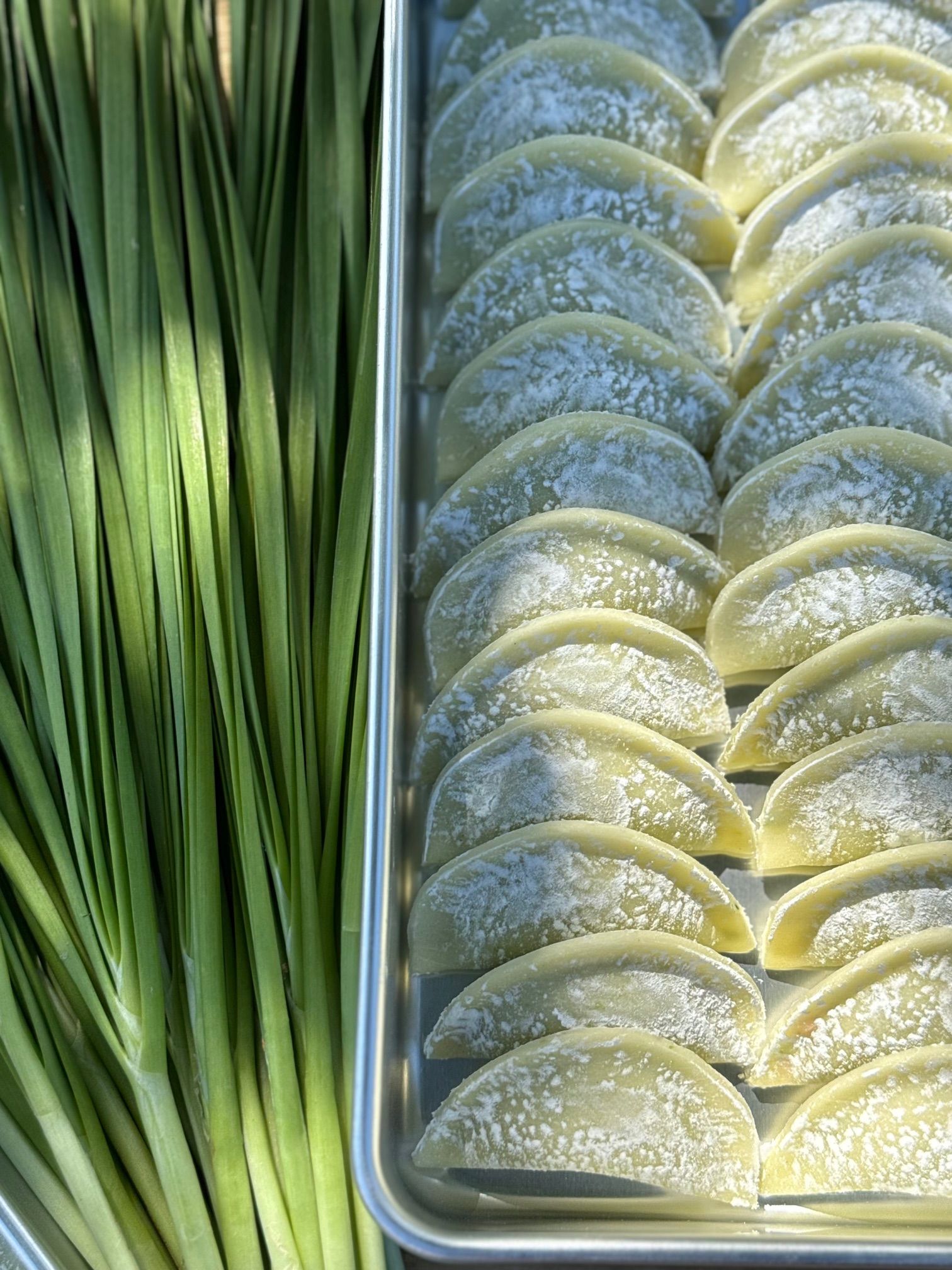 米餃子 | 青青韭菜餃