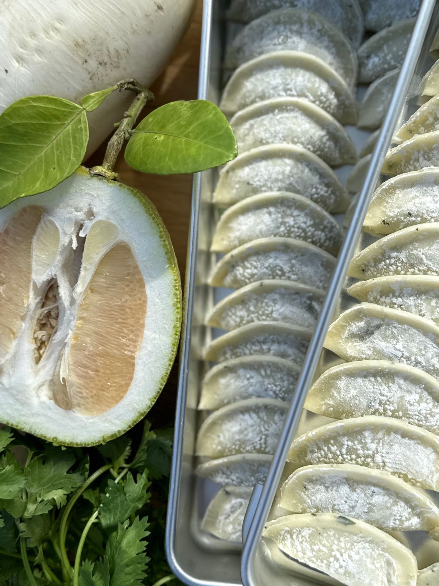 （下架中）秋日限定米餃子 | 柚子香菜白蘿蔔（微微辣）
