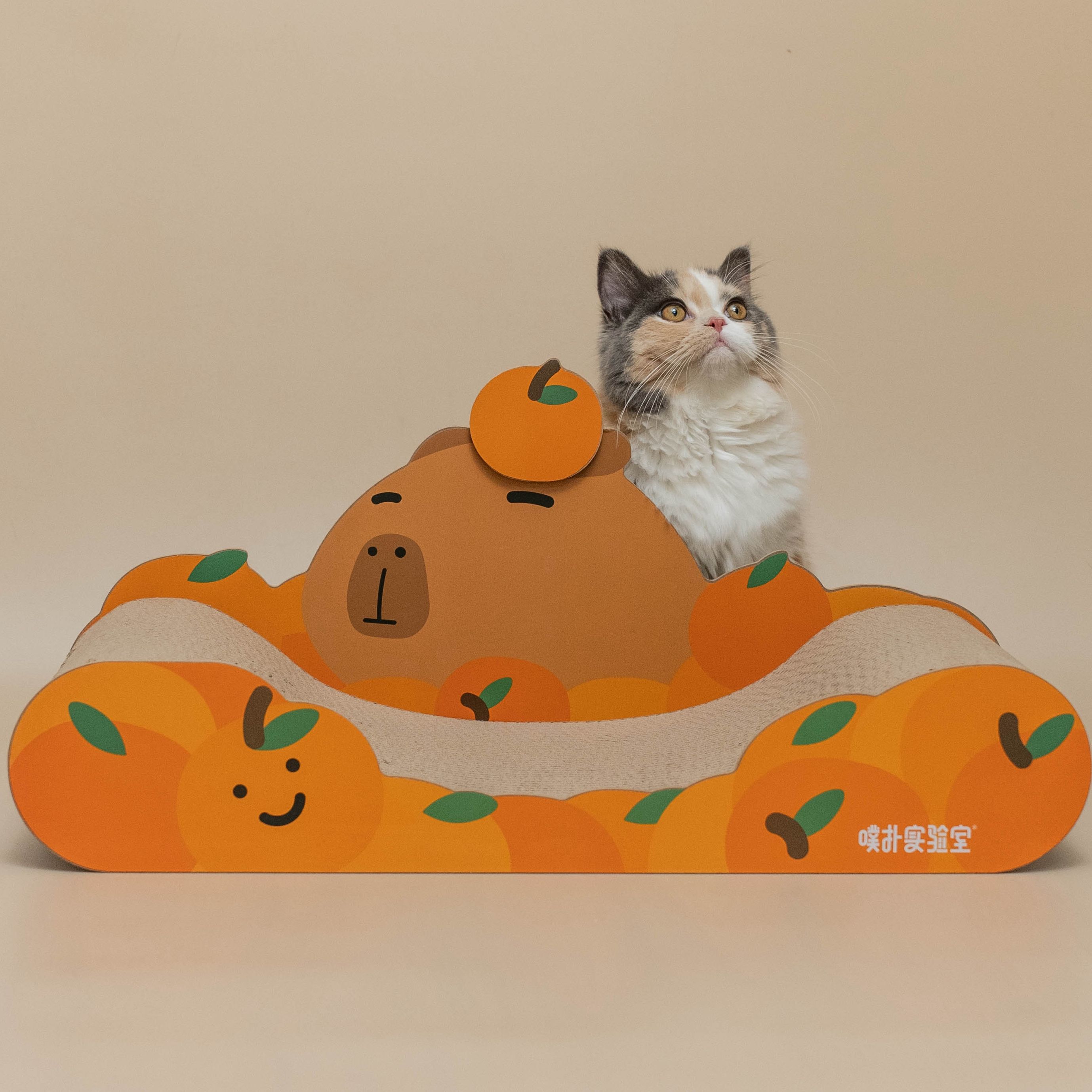 𝑱𝒐’𝒔 | 水豚君卡皮巴拉沙發式瓦愣貓抓板