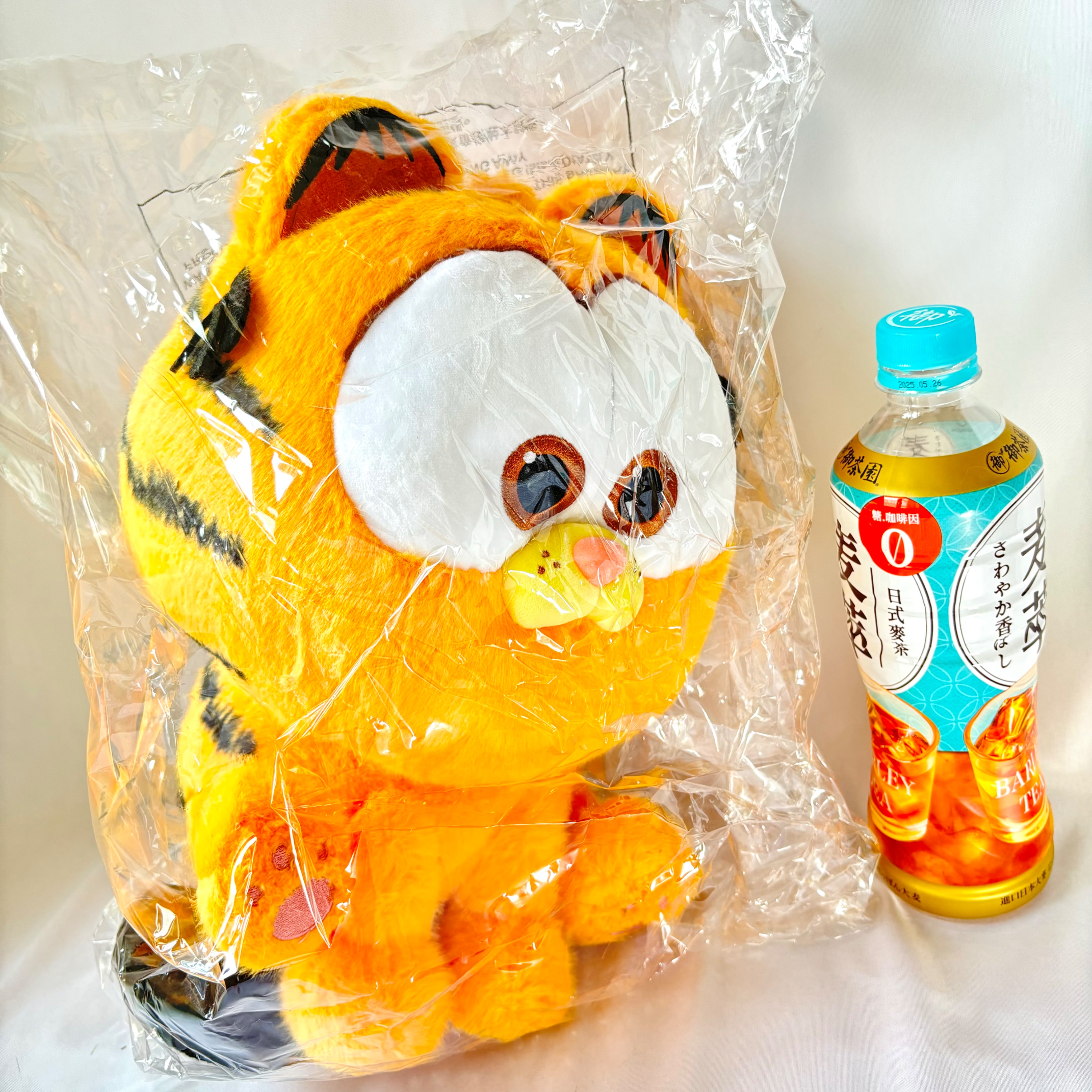 加菲貓30公分 辣個益哥被電的娃娃