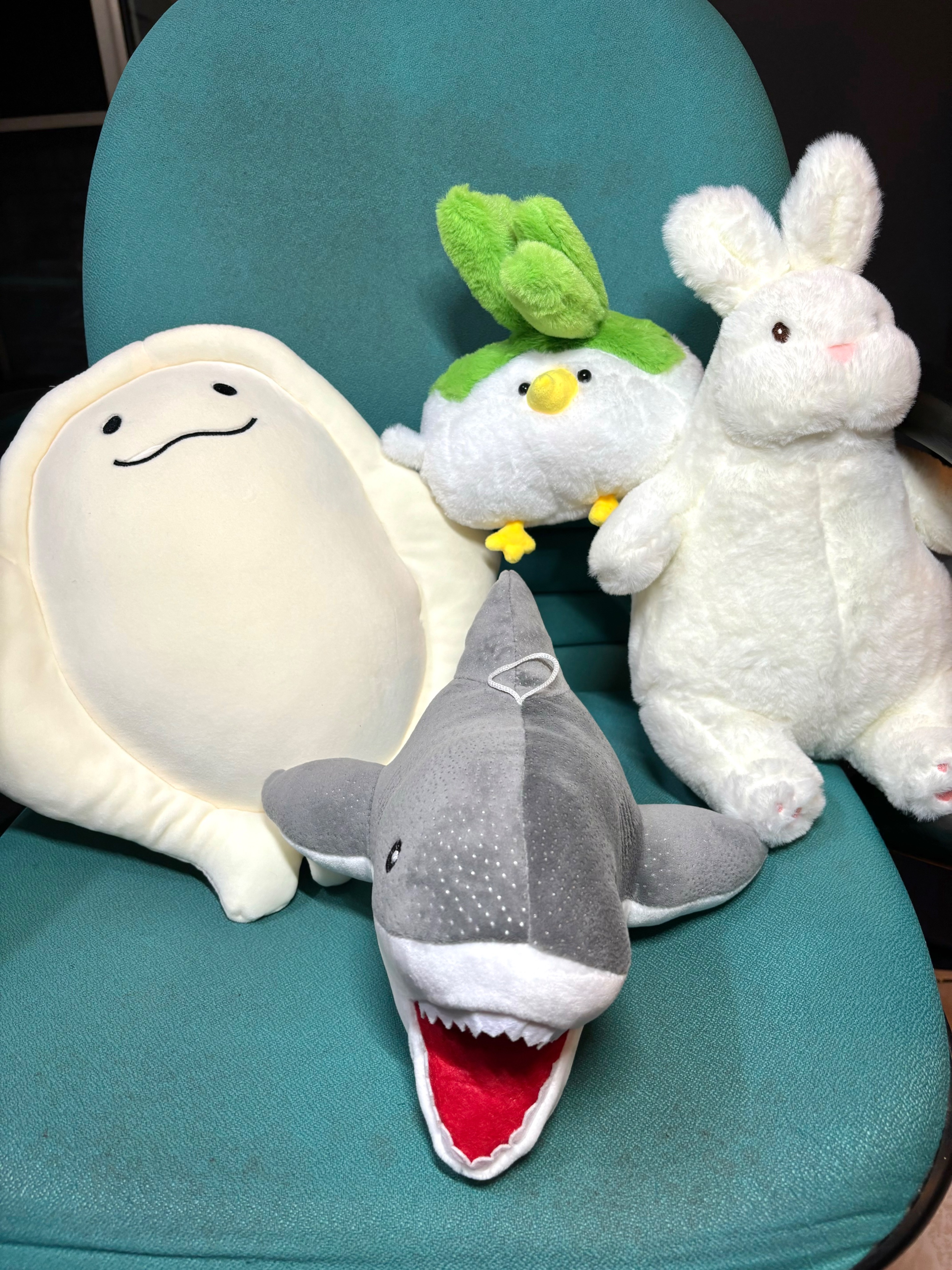 可愛娃娃區🦈🐰