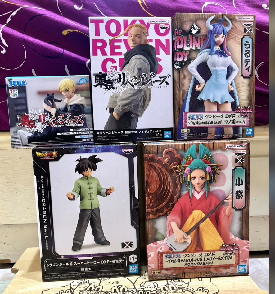 全新正版🔥航海王公仔們 金證