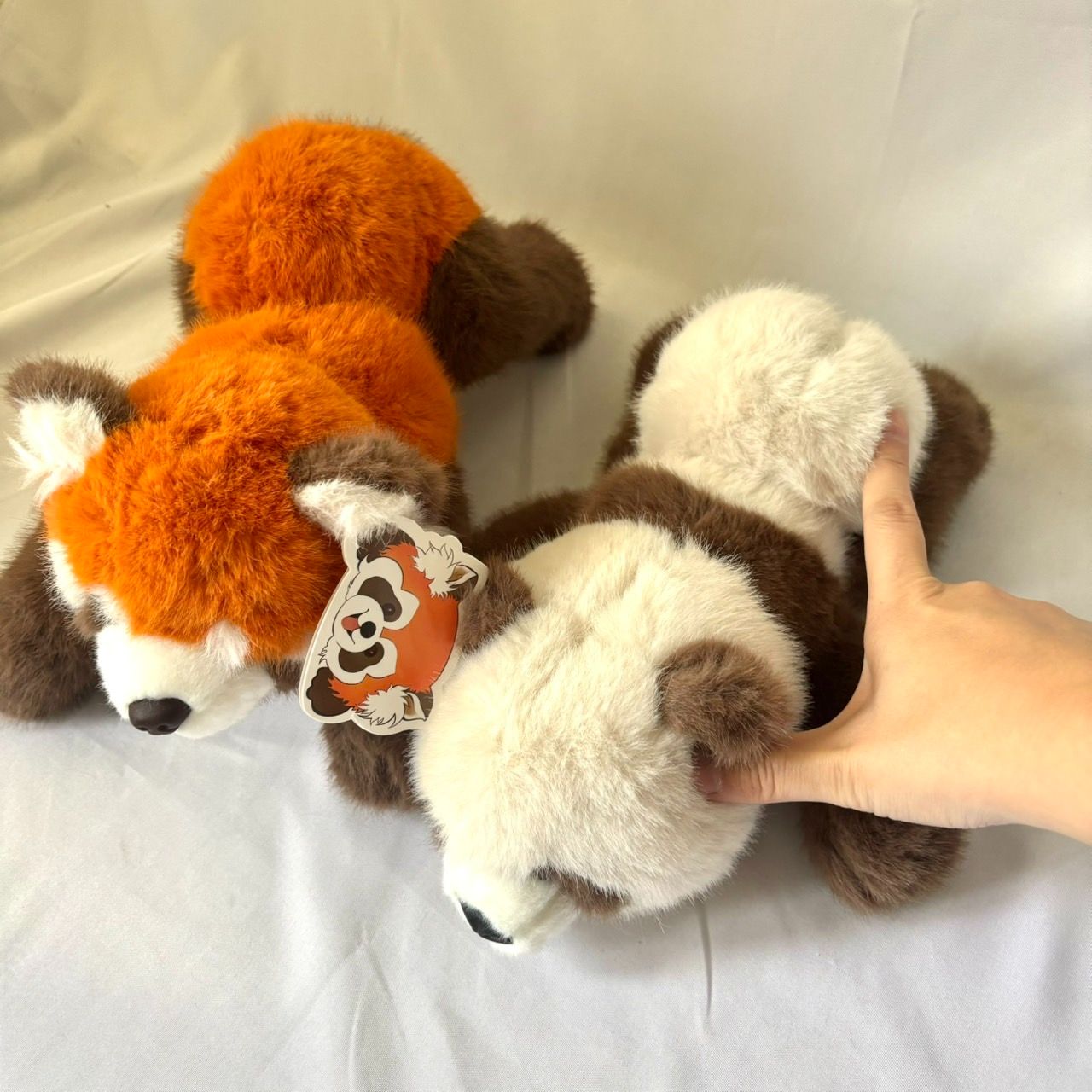 可愛的小熊貓和貓熊娃娃