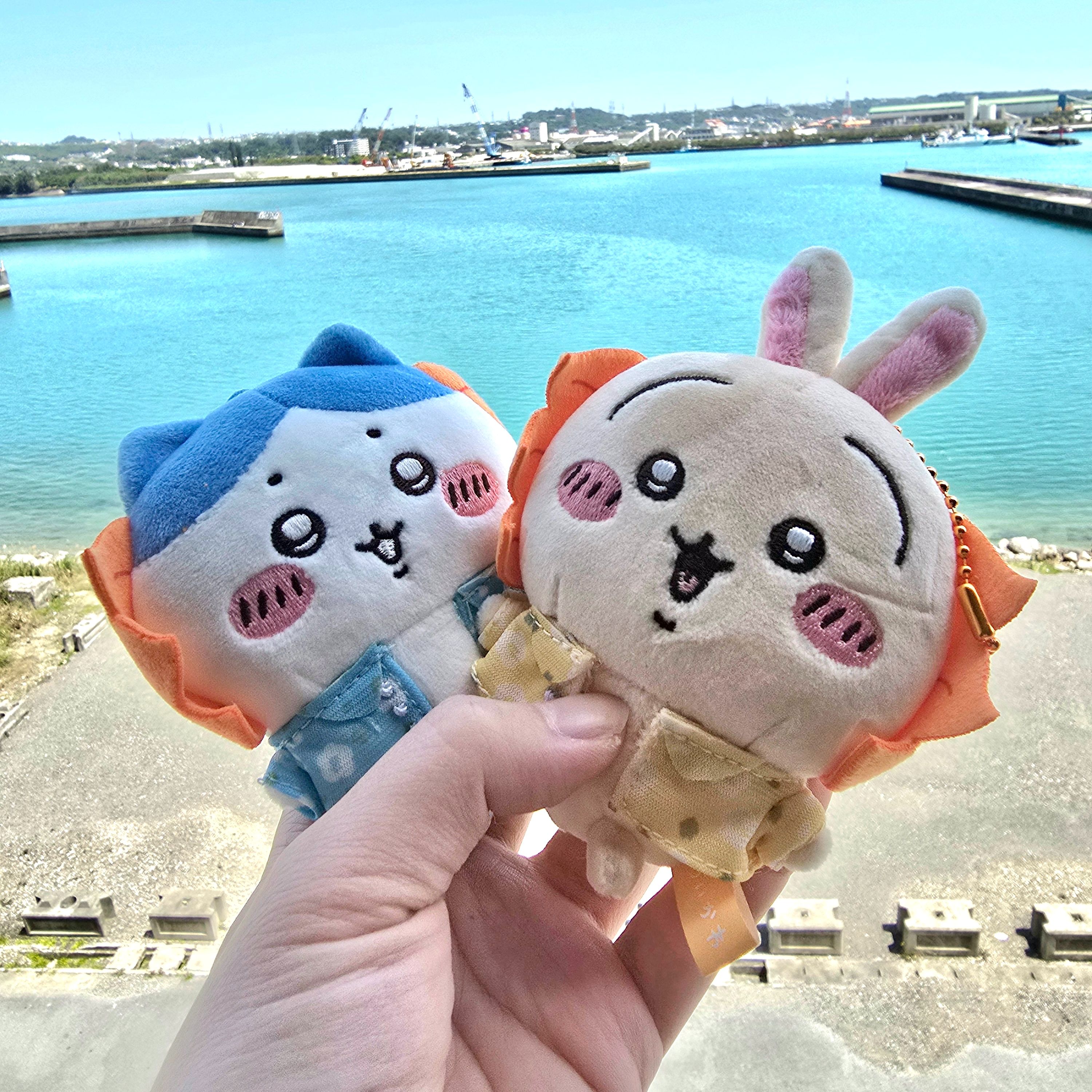 沖繩多帶的獅薩版吉伊卡哇小娃們