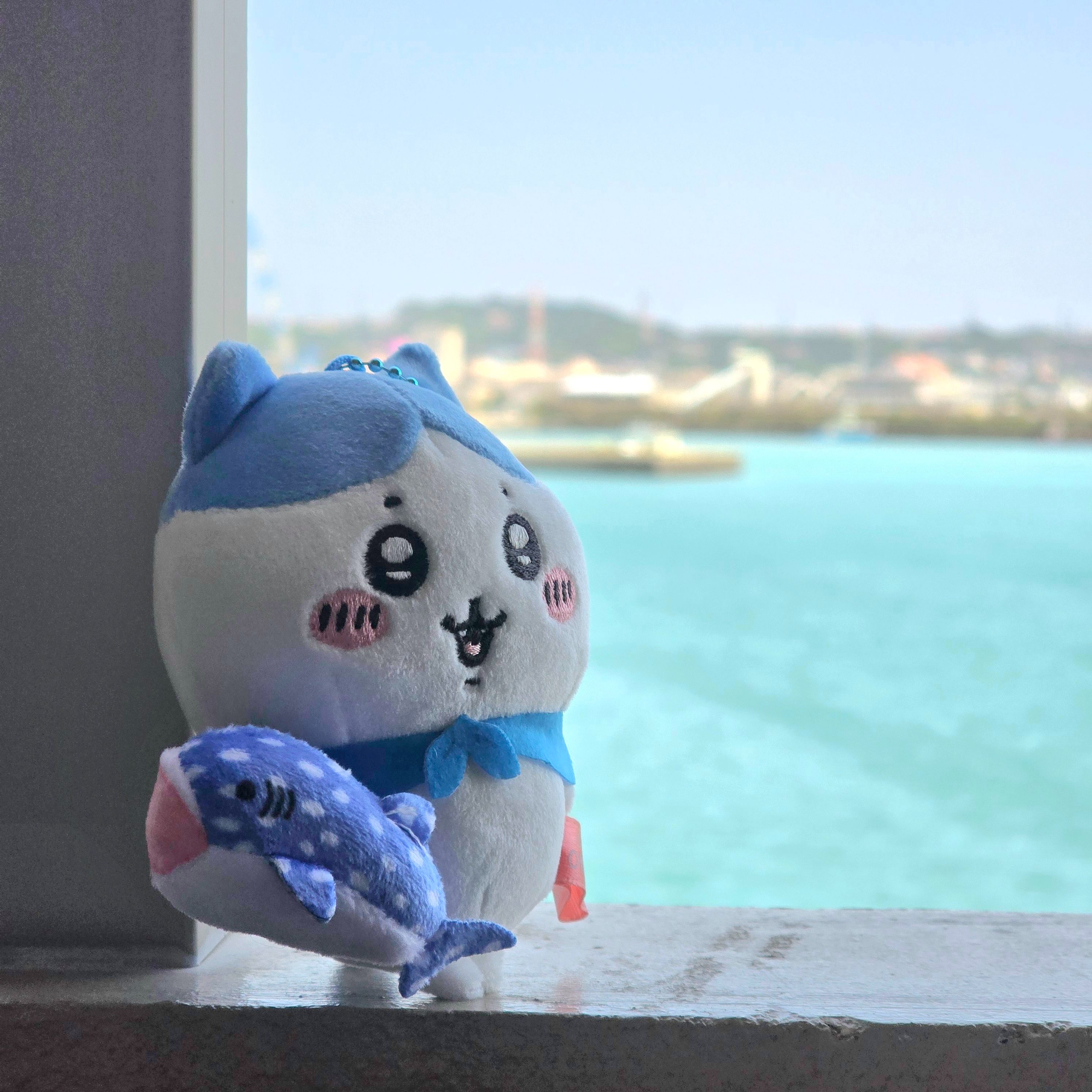 沖繩限定鯨鯊小八 吉伊卡哇小娃