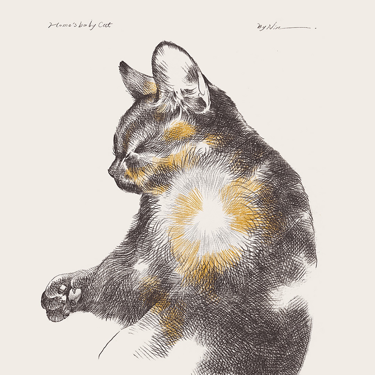 { 親愛的玳瑁 } 小方形卡片